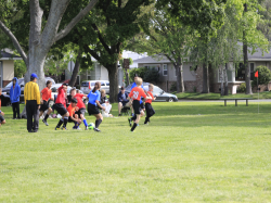 action photo