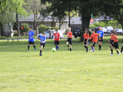 action photo