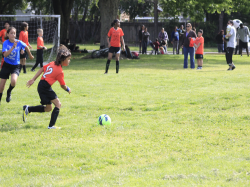 action photo