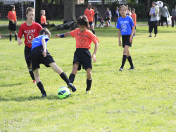 action photo
