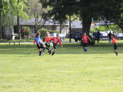 action photo