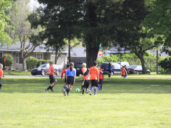 action photo