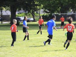 action photo