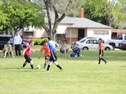 action photo