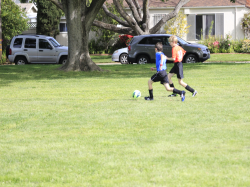 action photo